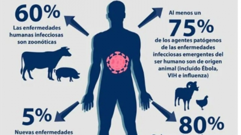 Hoy Es El D a Mundial De La Zoonosis Noticias AgroPecuarias