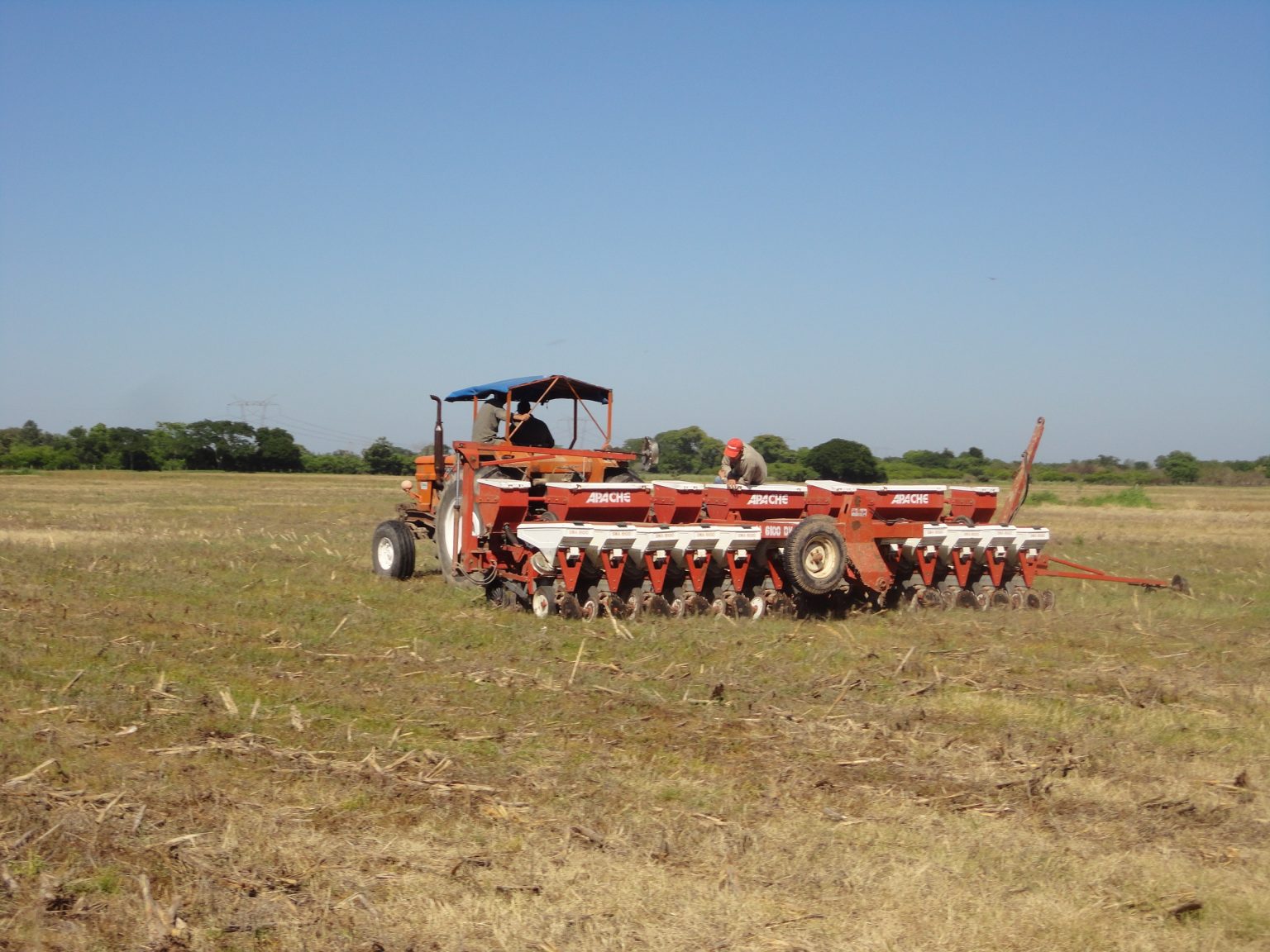 Avanza la siembra de sorgo – Noticias AgroPecuarias