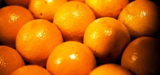 Argentina es el sexto exportador de productos orgánicos (Archivo)