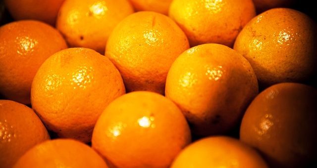 Argentina es el sexto exportador de productos orgánicos (Archivo)