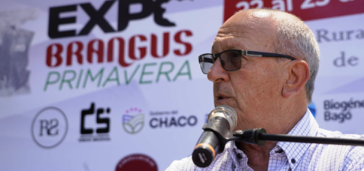 Carlos Castagnani, presidente de Confederaciones Rurales Argentinas