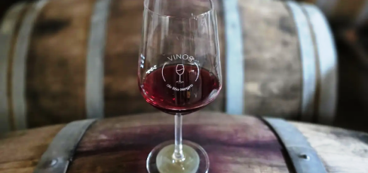 El Alto Valle de Río Negro se destaca por sus vinos Pinot Noir (Prensa Río Negro)