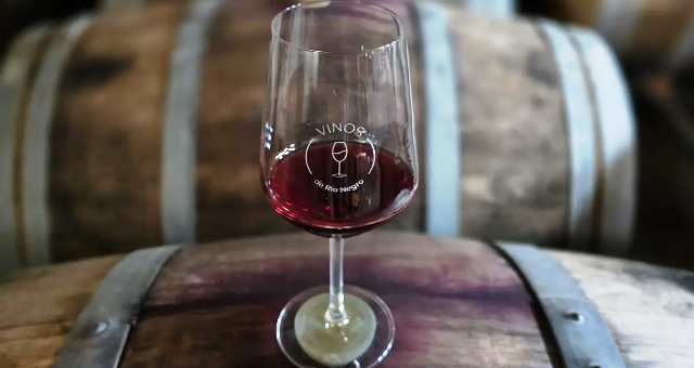 El Alto Valle de Río Negro se destaca por sus vinos Pinot Noir (Prensa Río Negro)