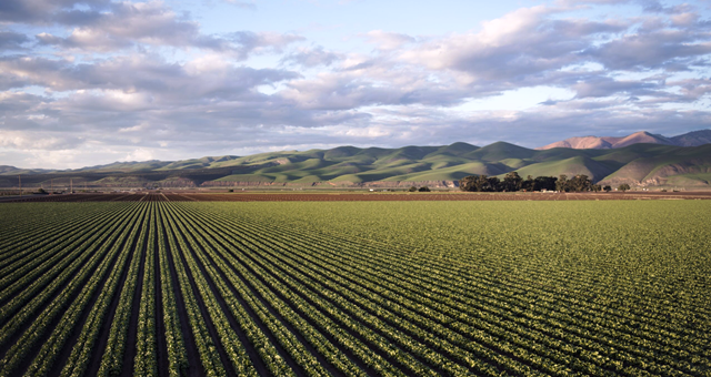 Día mundial de la agricultura (Imagen: gentileza Expoagro