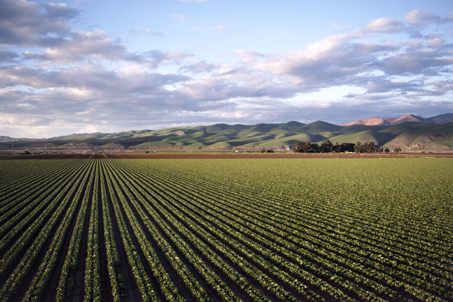 Día mundial de la agricultura (Imagen: gentileza Expoagro