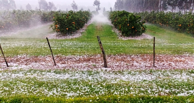 Imagen: Gentileza publicaciones locales