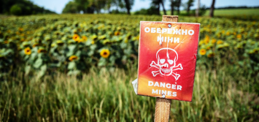 Imagen: Oficina de prensa de la FAO